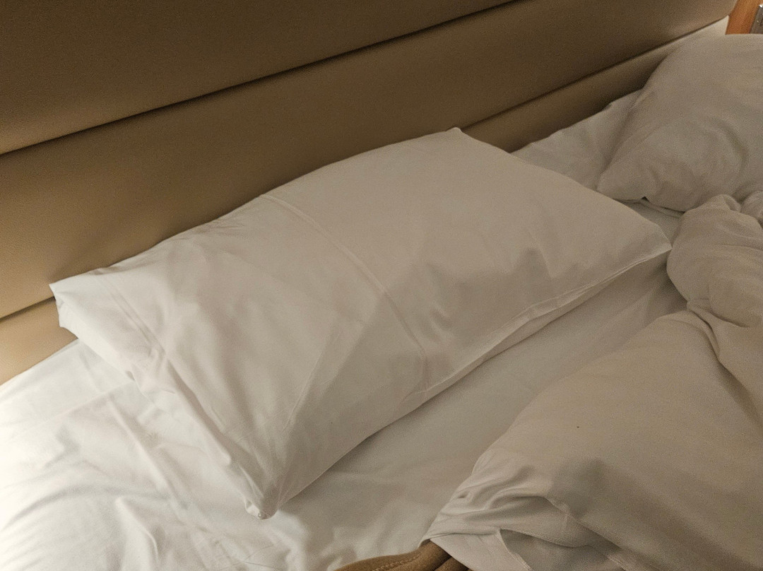 阿斯隆泉水酒店主图