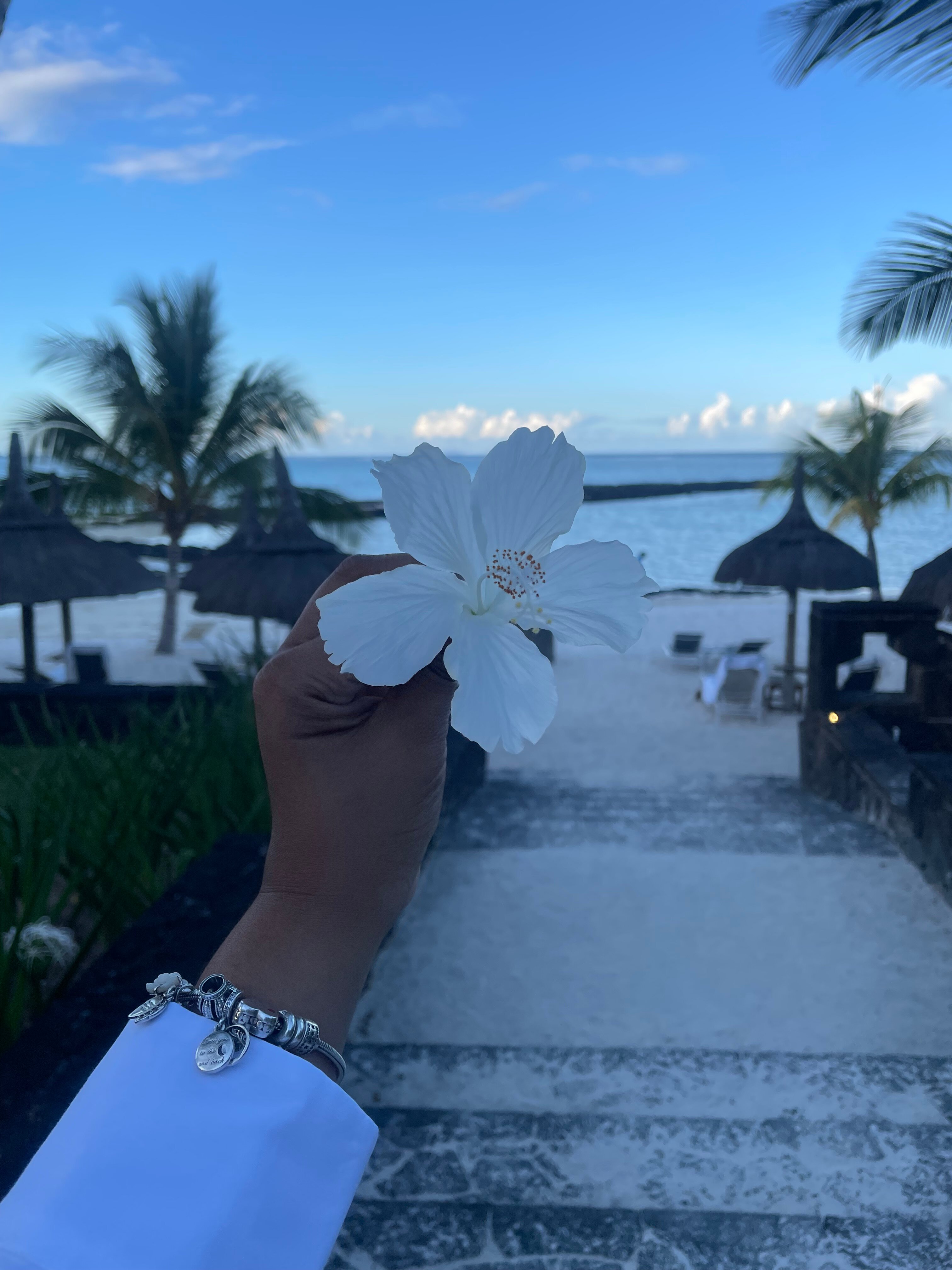 昂布尔度假酒店-官方