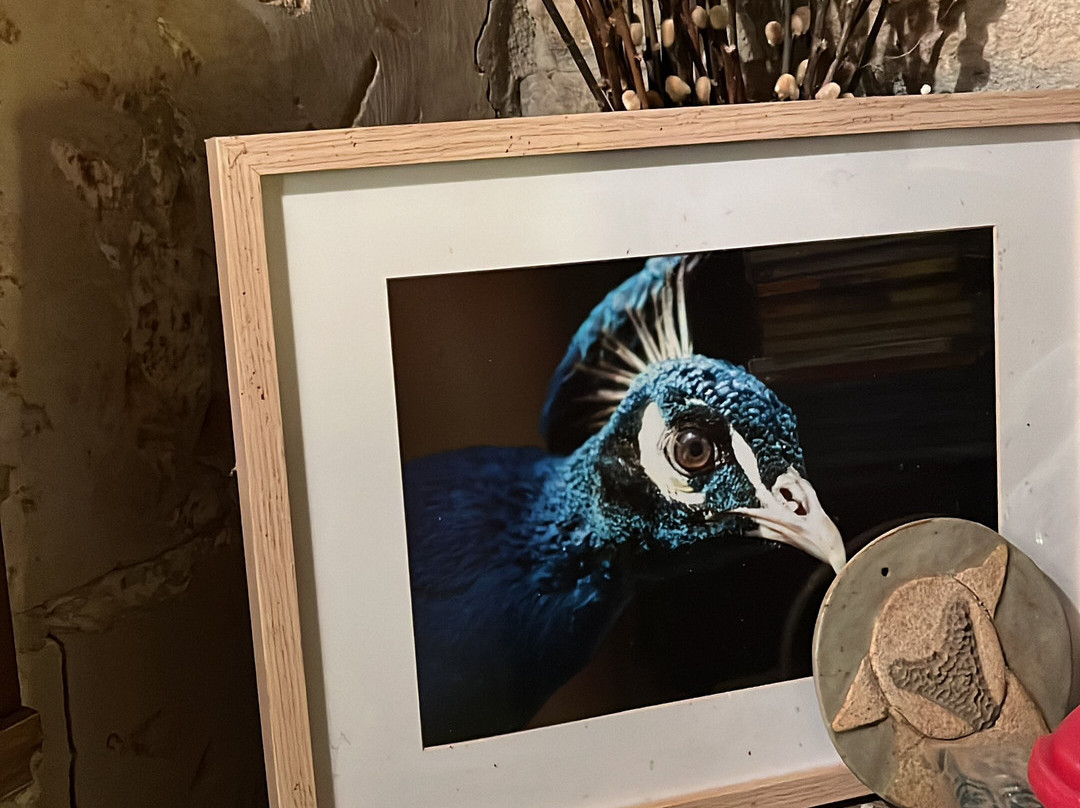 Manoir de la Blonnerie主图