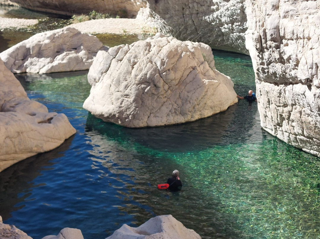 Desert Camels Adventure Tours-尼日瓦必去景点