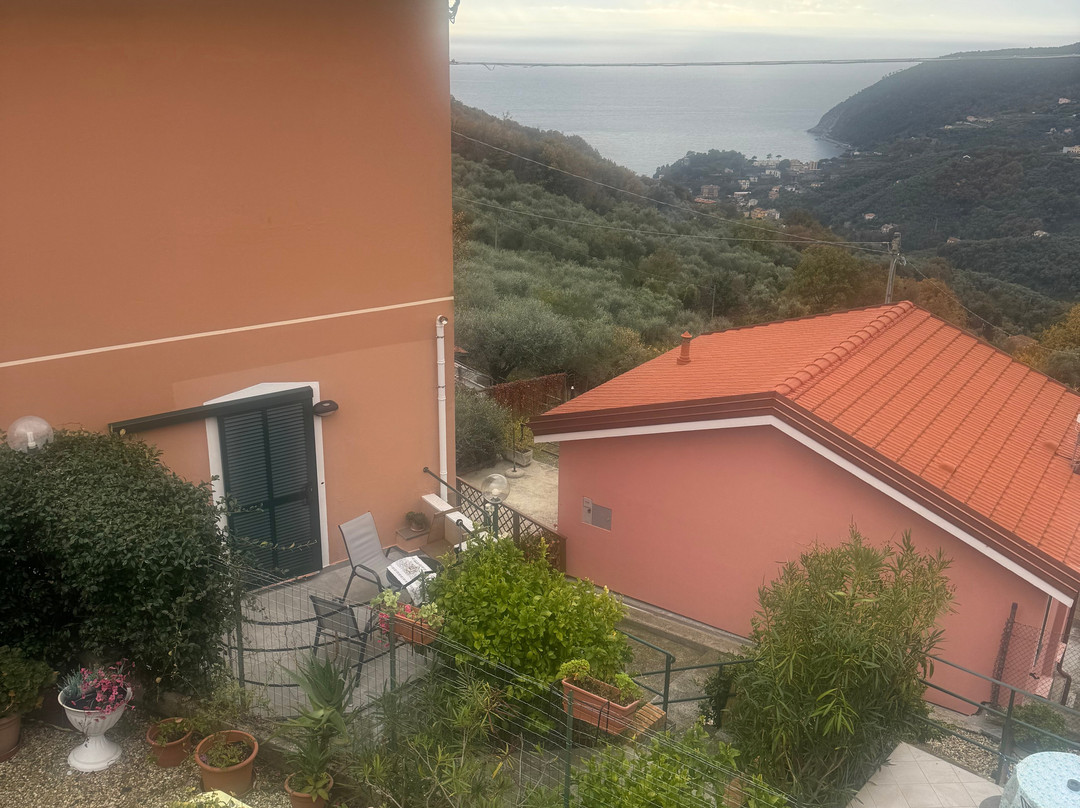 B&B Ca di Bollo主图