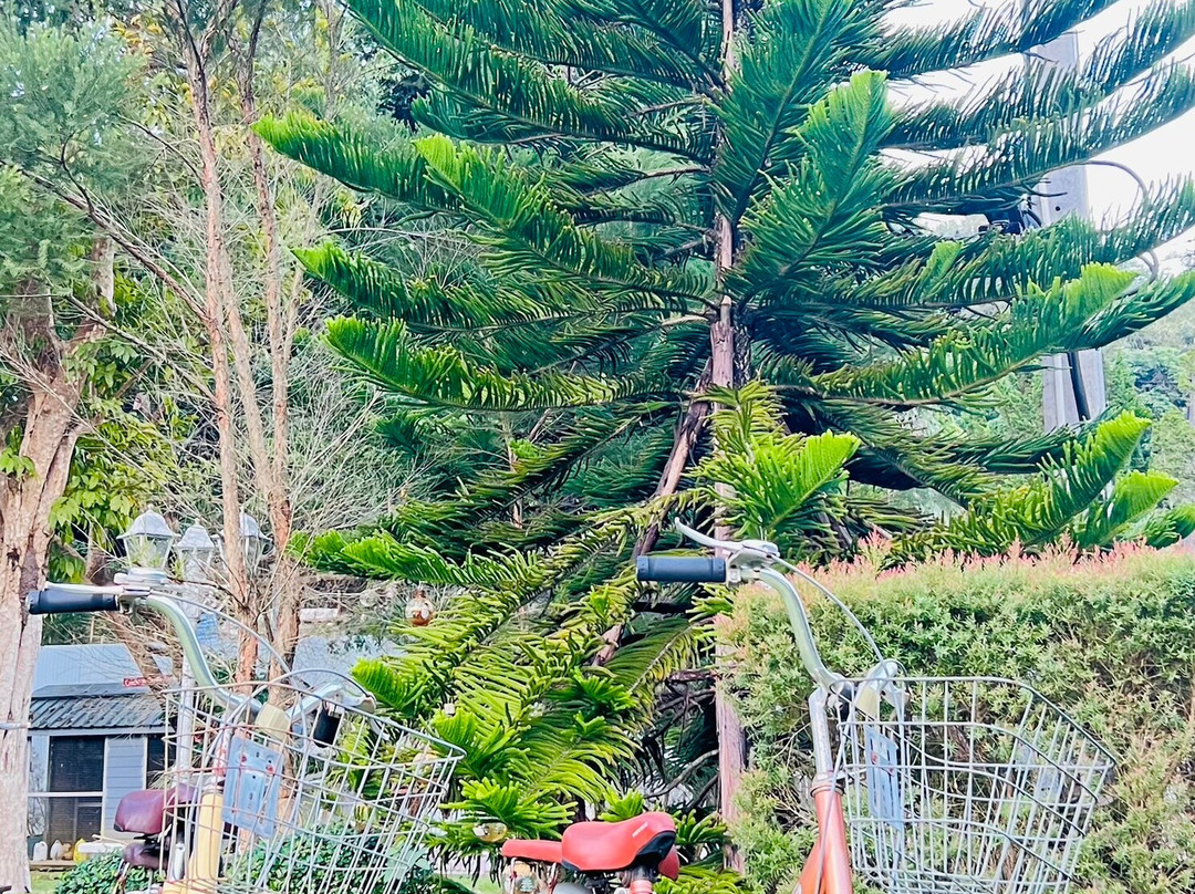 Hillsborough the English Country House主图