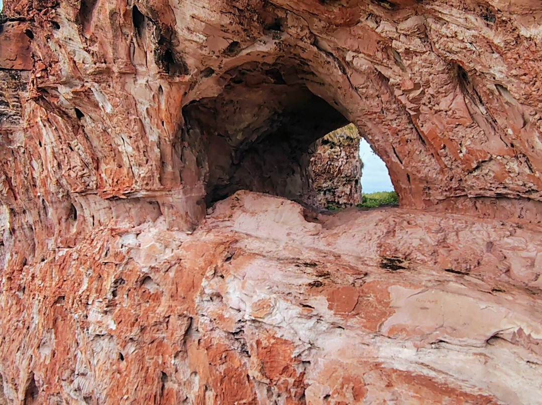 Diego Tour Jalapão-Ponte Alta do Tocantins必去景点