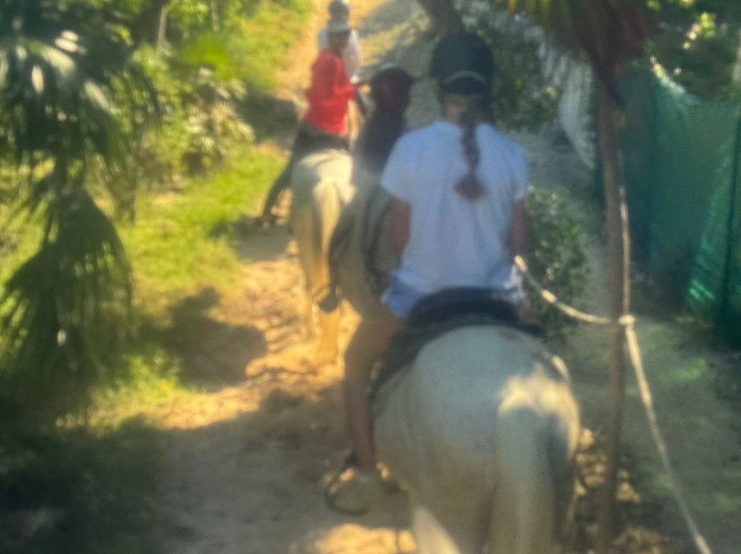 Provo Ponies-Long Bay Hills必去景点