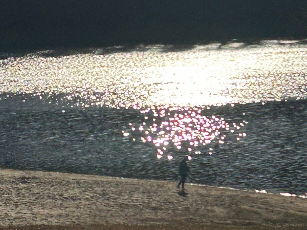 Woolly Hollow State Park-Greenbrier必去景点