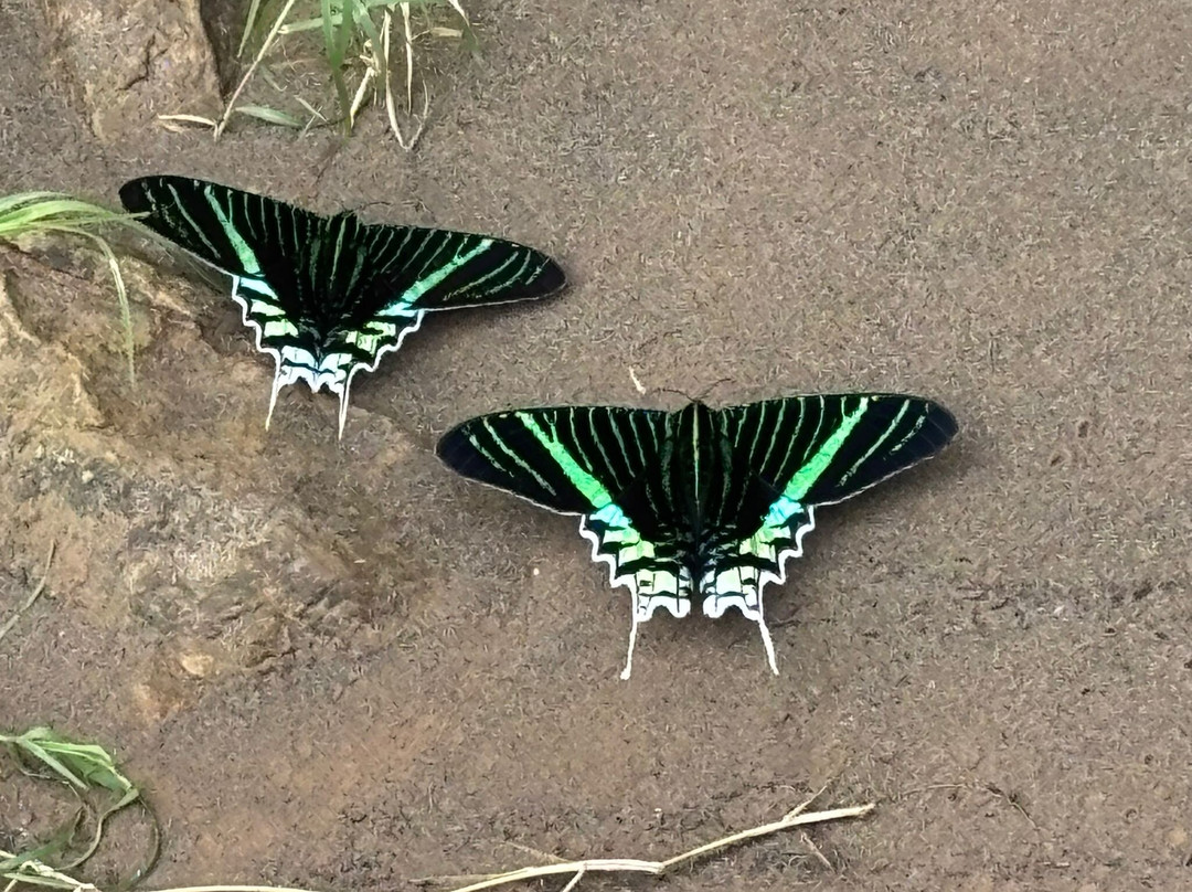 Sacha Runa-拉巴斯必去景点