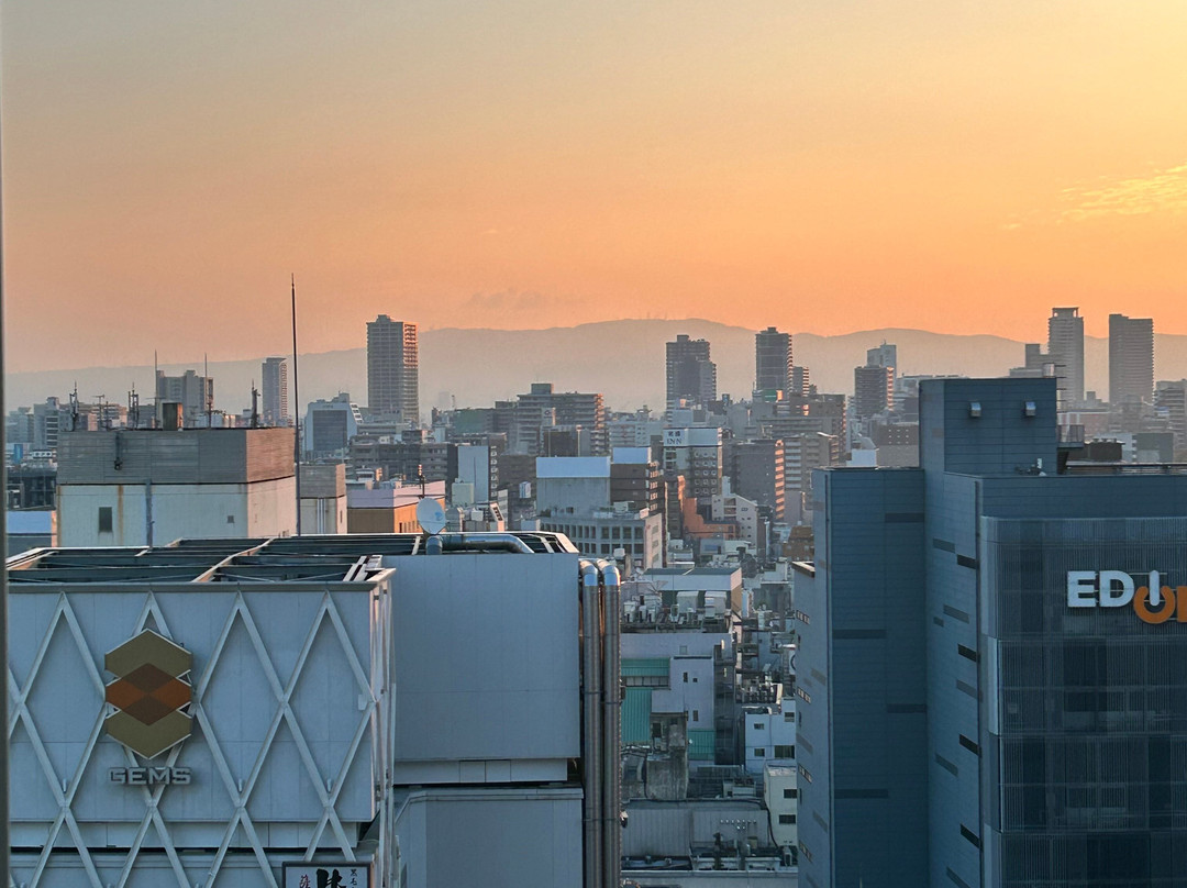 Hotel Royal Classic Osaka主图