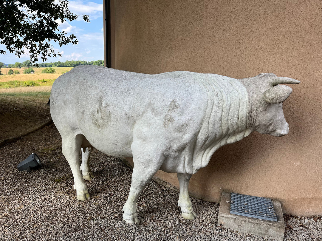 La Maison du Charolais-Charolles必去景点