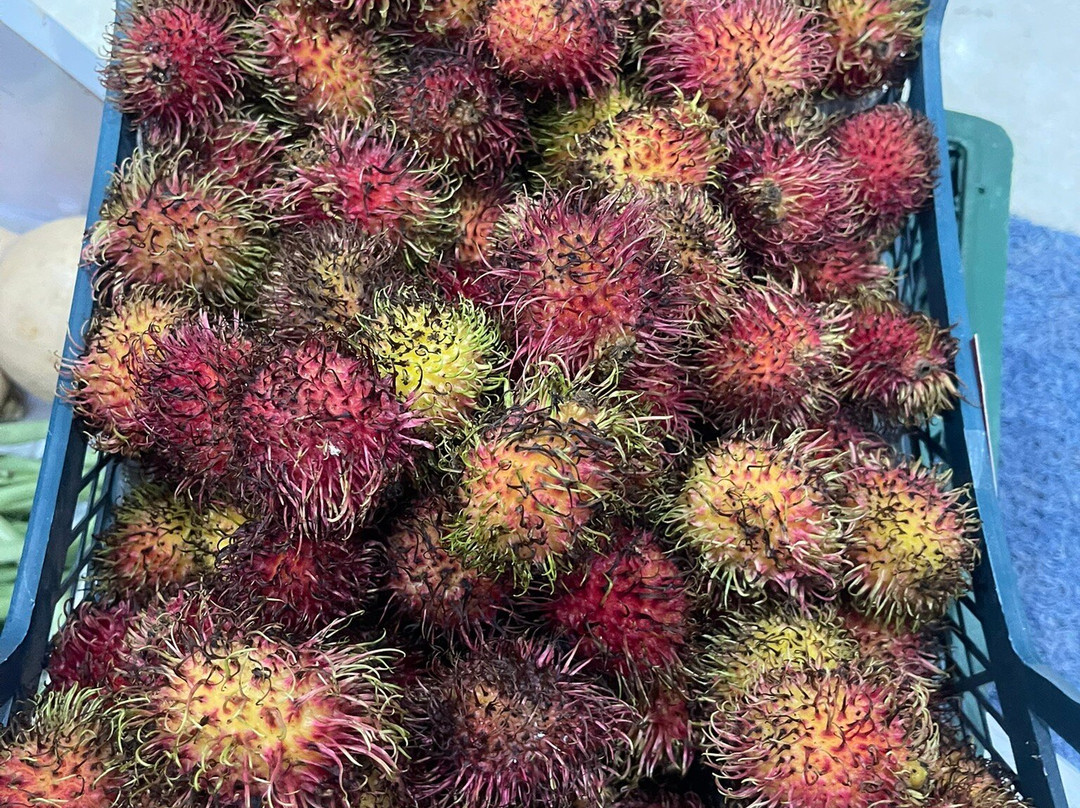 Thoddoo Sun Sky Inn主图