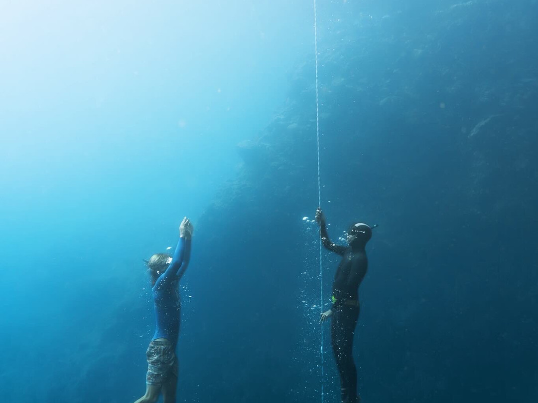 Deep Dominica Freediving-Soufriere必去景点