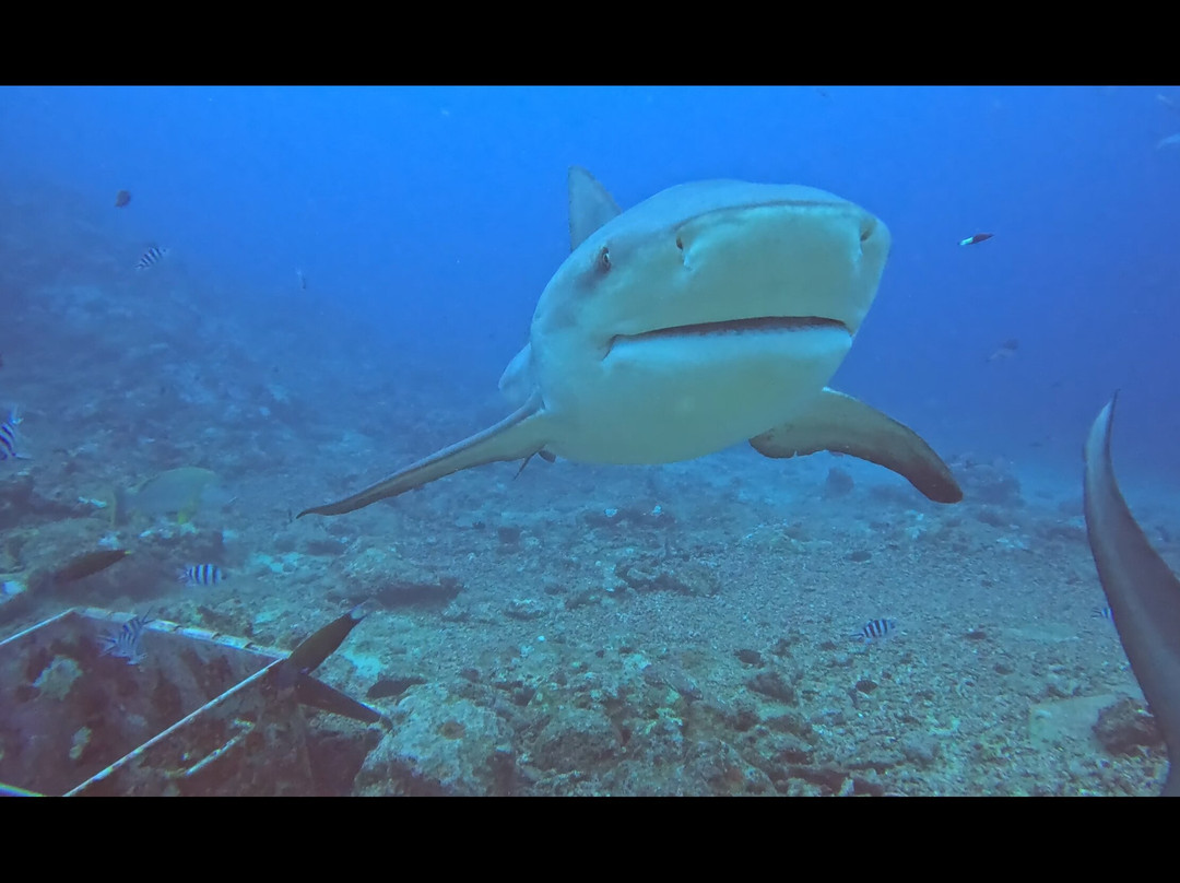 Aqua-Trek-太平洋港必去景点