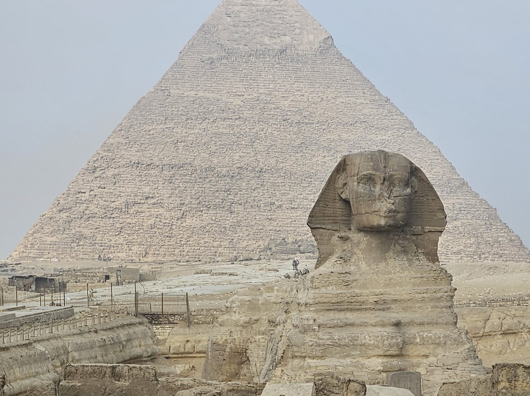 La Toupie Voyageuse-里昂必去景点