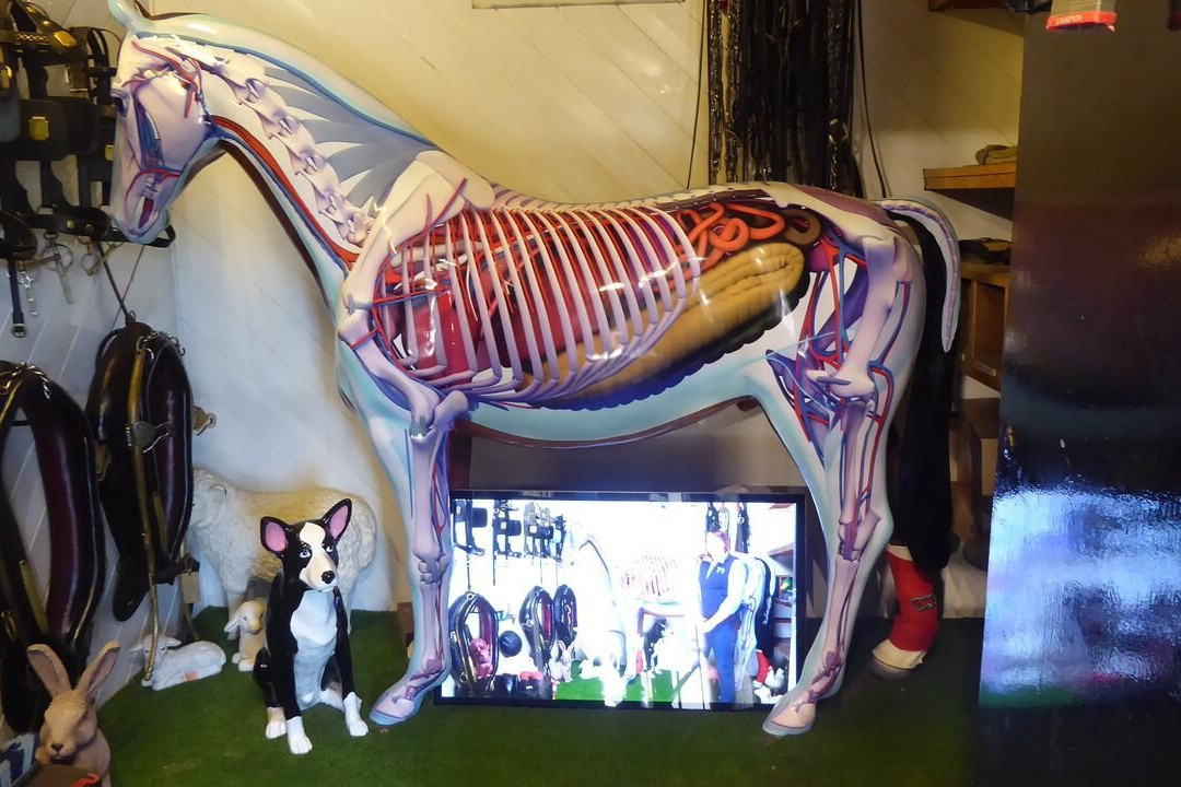 The National Showcaves Centre for Wales-null必去景点