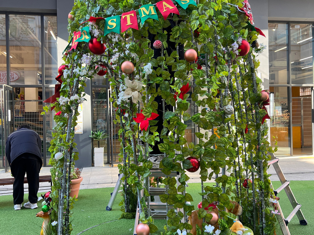 Yangsan Oslo Park-梁山市必去景点