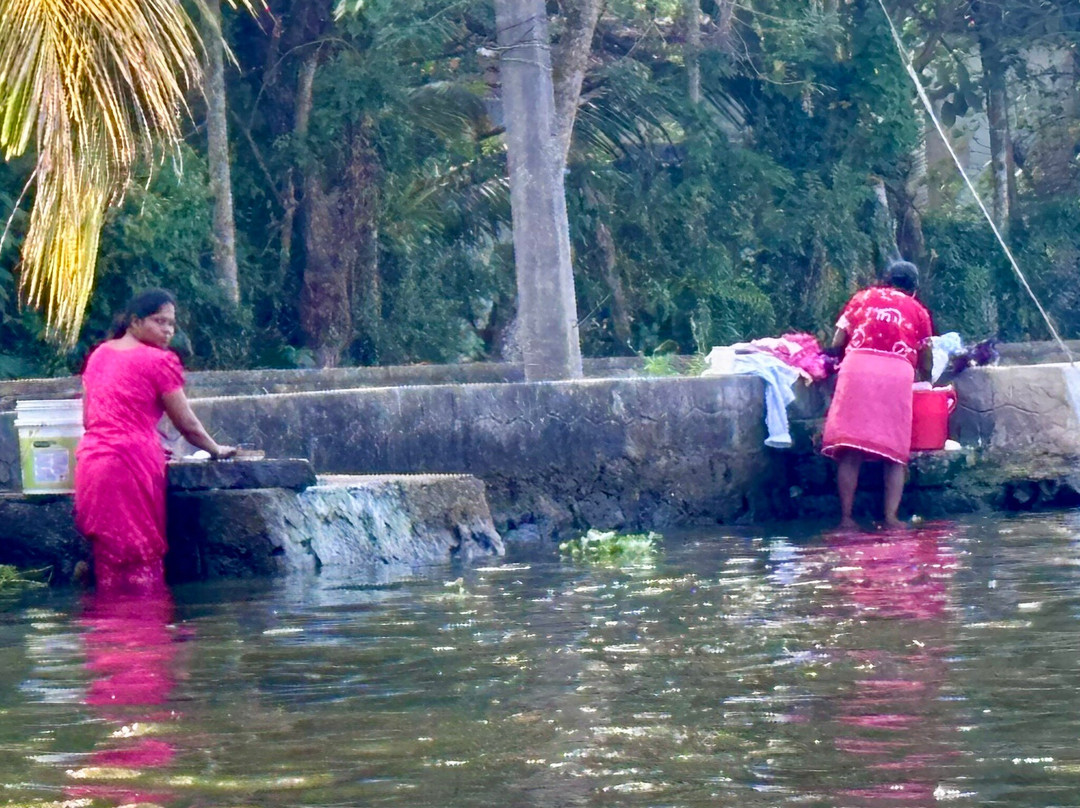 Green Palm Homes主图