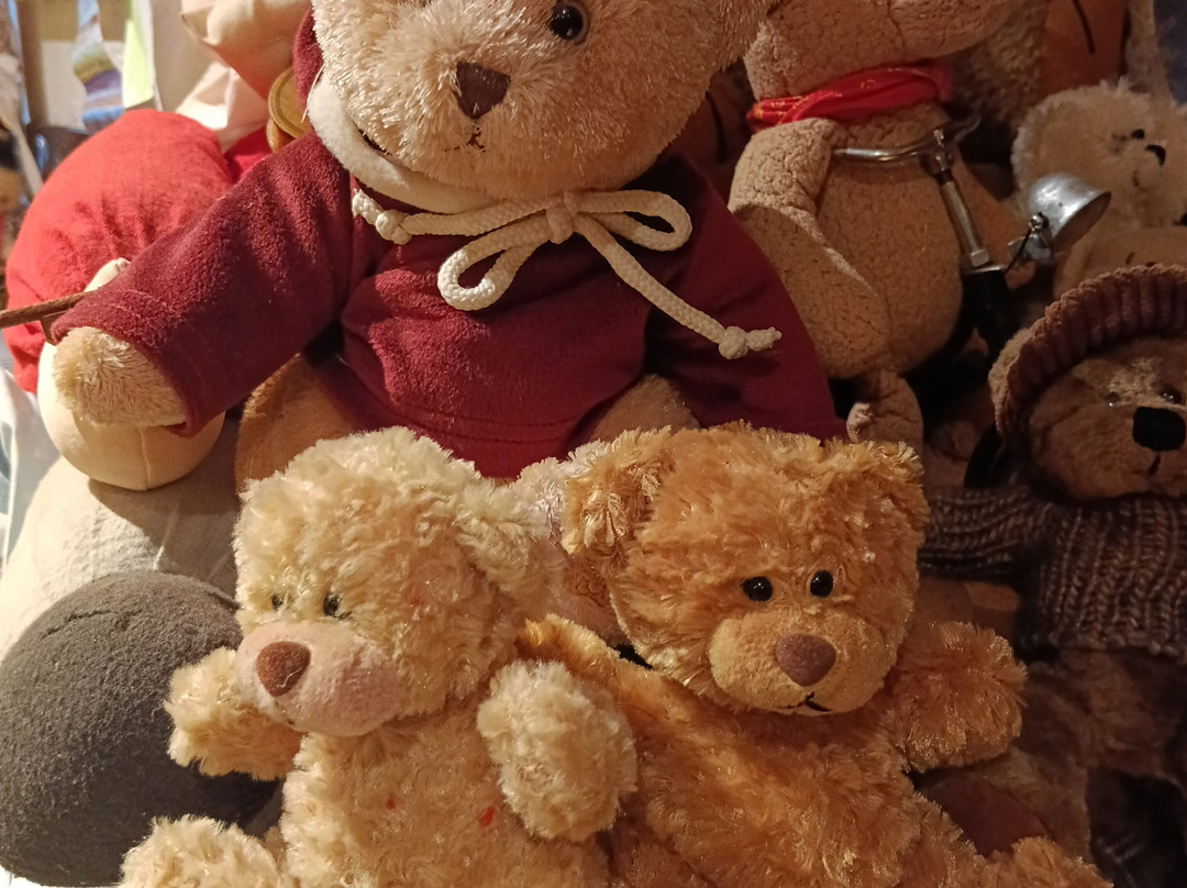 Teddy Und Puppenmuseum-Steinheim必去景点