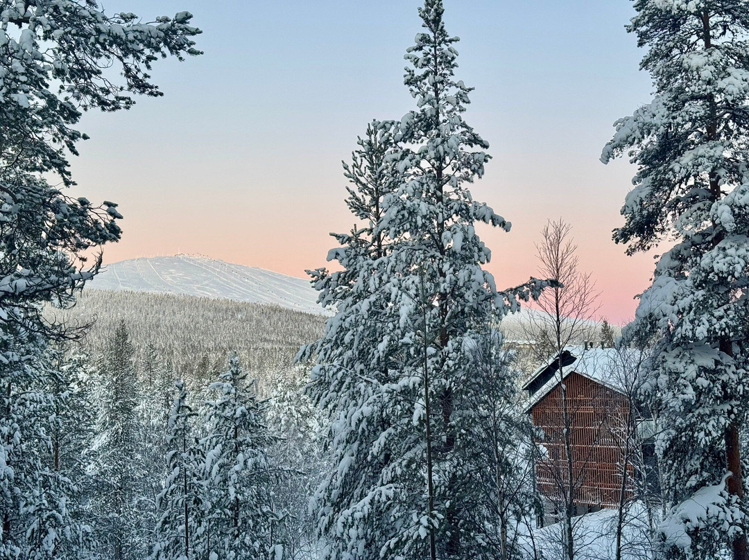 Hotel Ylläsrinne主图