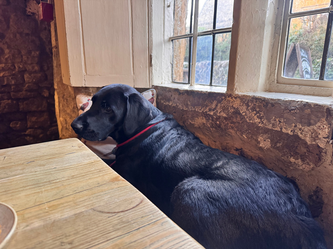 The Falkland Arms主图