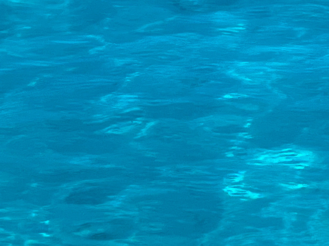 Punta Norte Diving-Punta Sam必去景点