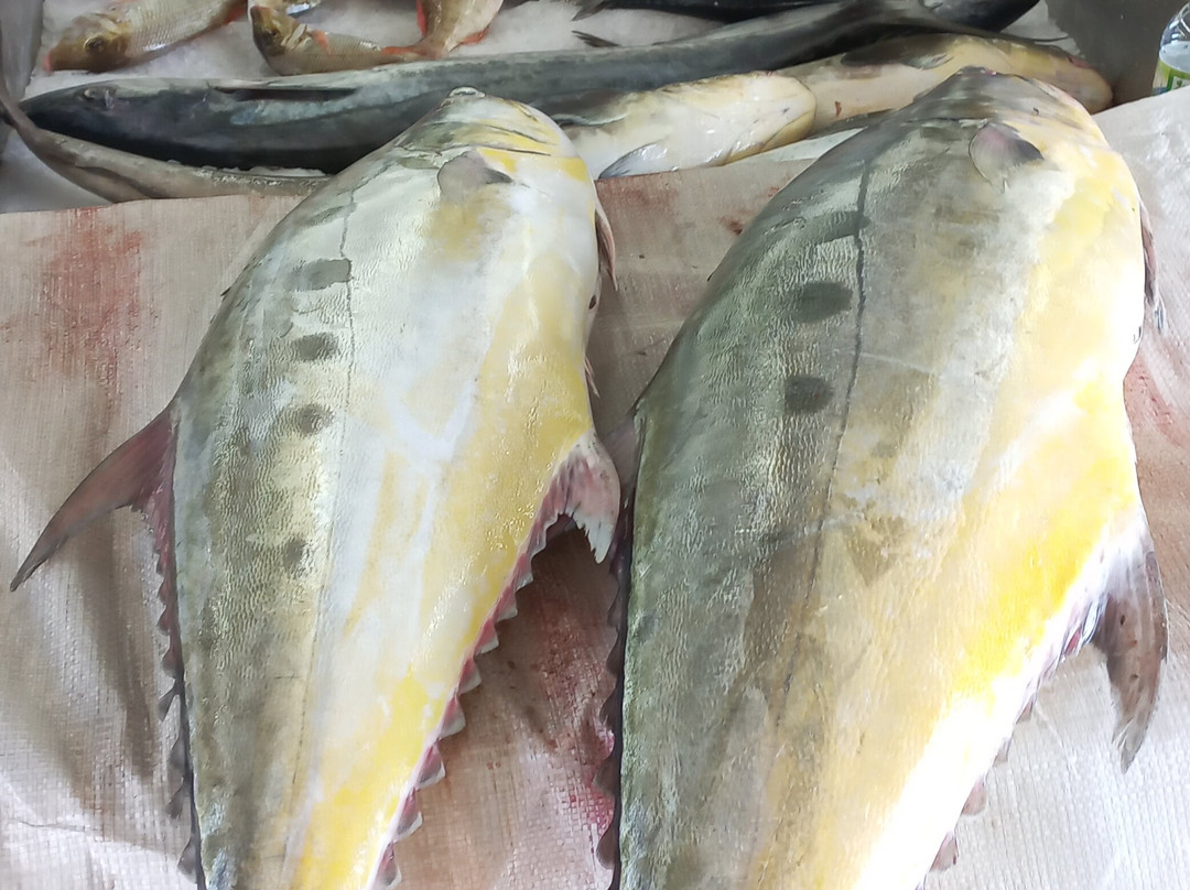 Mutrah Fish Market-马斯喀特必去景点