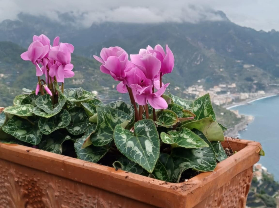 Giardini di Villa Rufolo-拉韦洛必去景点