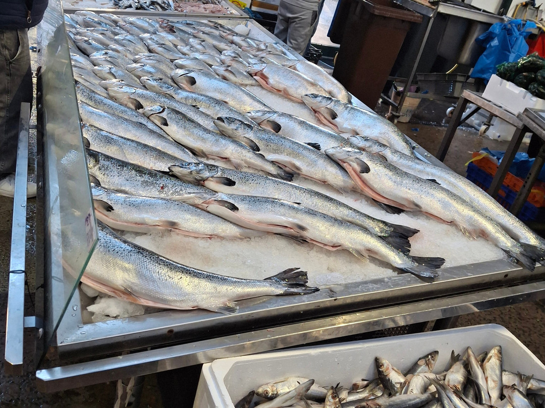 圣乔治市场-贝尔法斯特必去景点