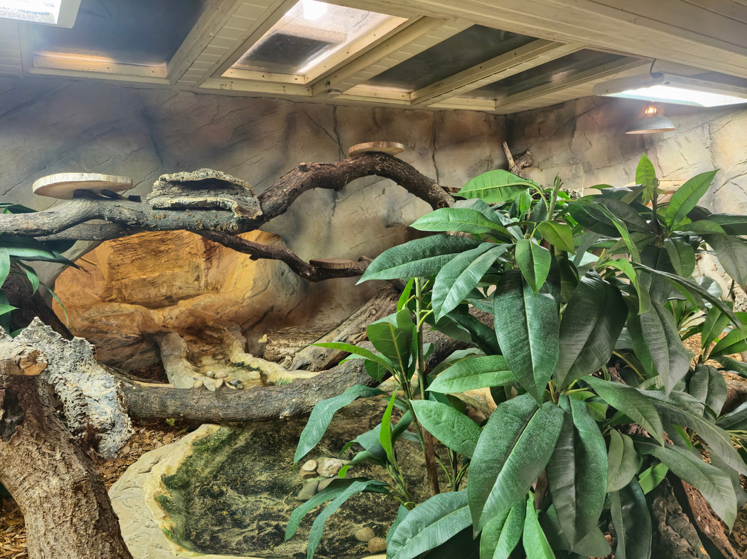 Colchester Zoo-科尔切斯特必去景点