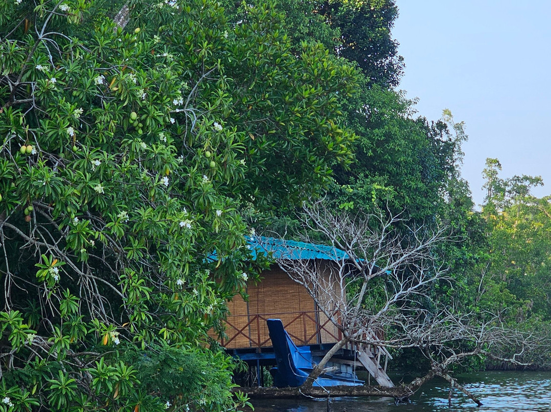 Travelers Choice To Ceylon-科伦坡必去景点