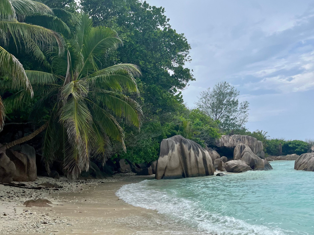 Crystal Water Kayaks-L'Union必去景点
