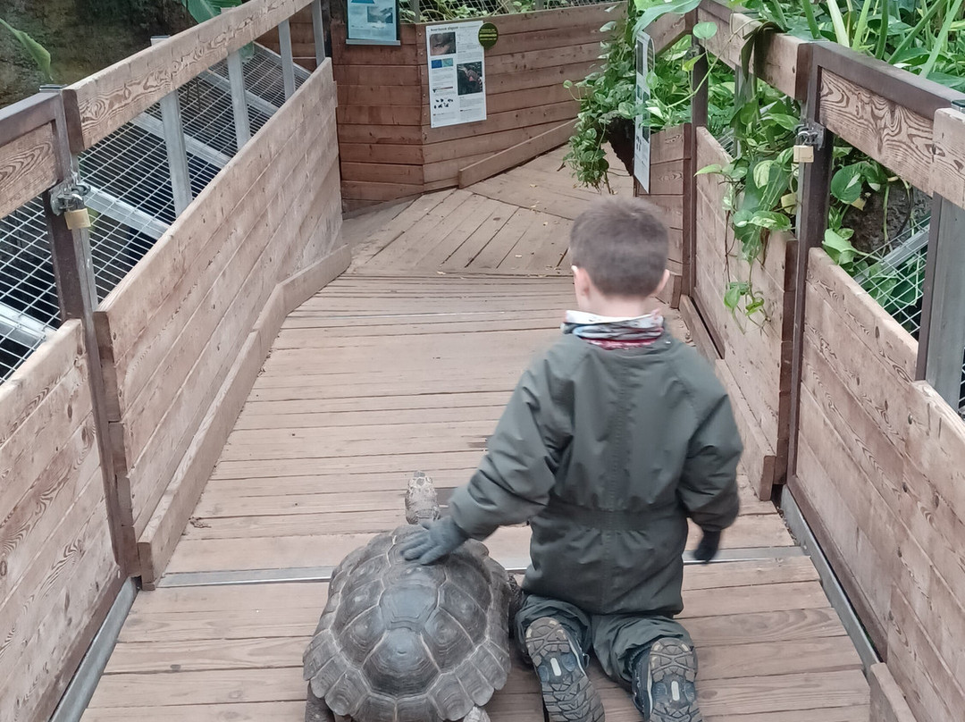 Krokodille Zoo-Eskilstrup必去景点