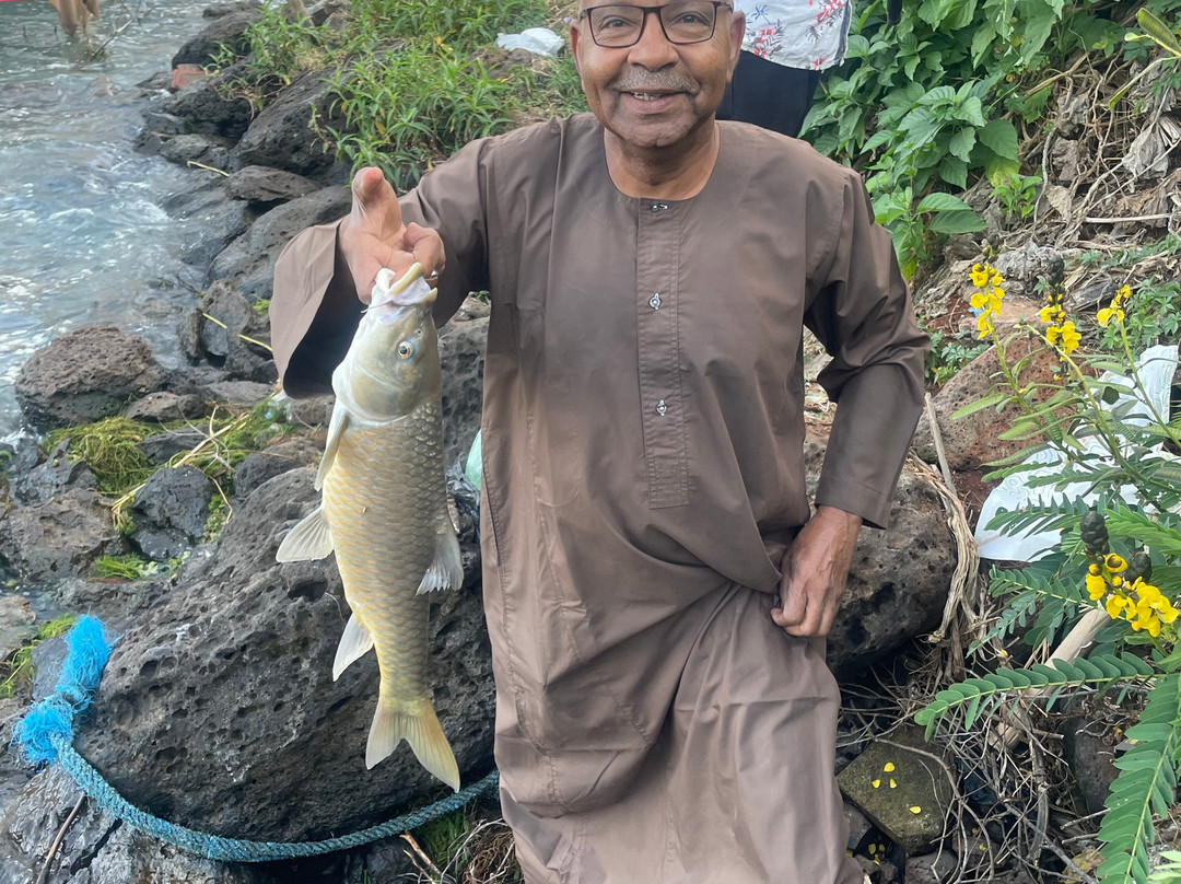 Ethio Nile Tours-巴哈尔达尔必去景点