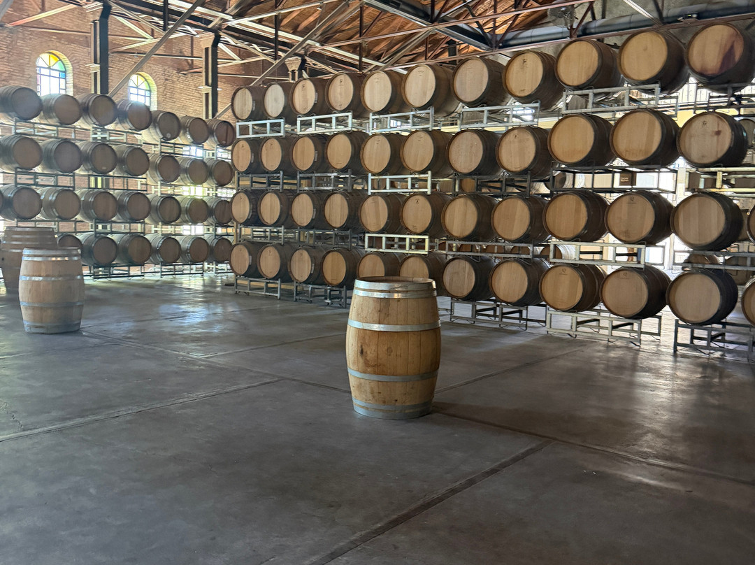 Bodega Los Toneles-门多萨必去景点