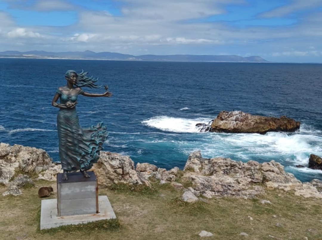 Hermanus Cliff Path-赫曼努斯必去景点