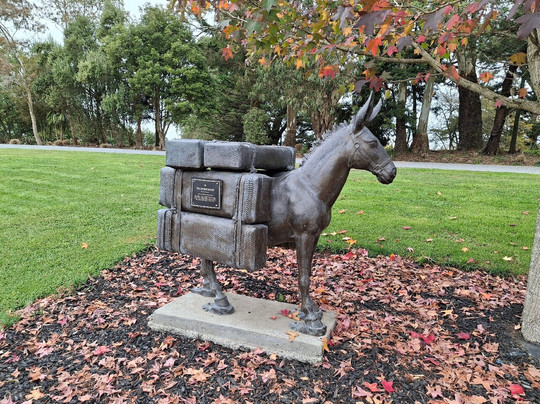 Zealong Tea Estate-汉密尔顿必去景点