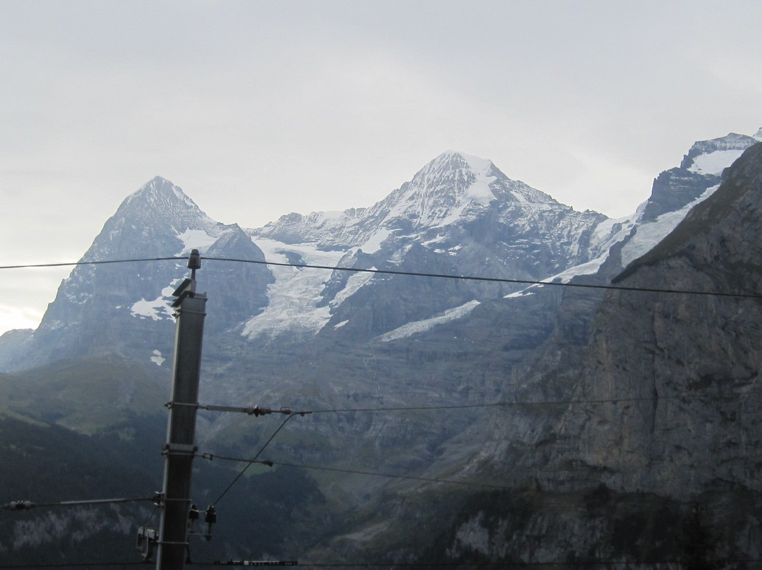 阿尔彭布里克米伦酒店主图