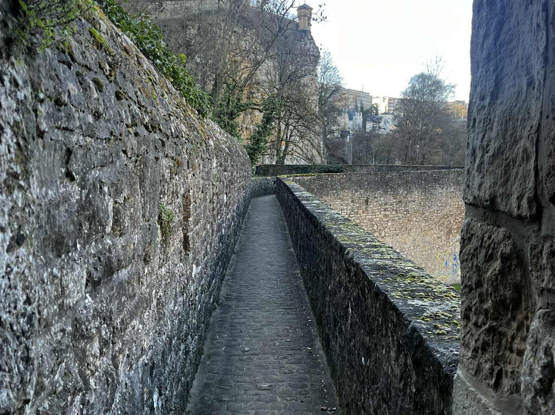 Wenzel Circular Walk-卢森堡城必去景点