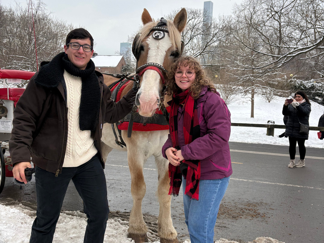 NYC horse carriage services-纽约市必去景点