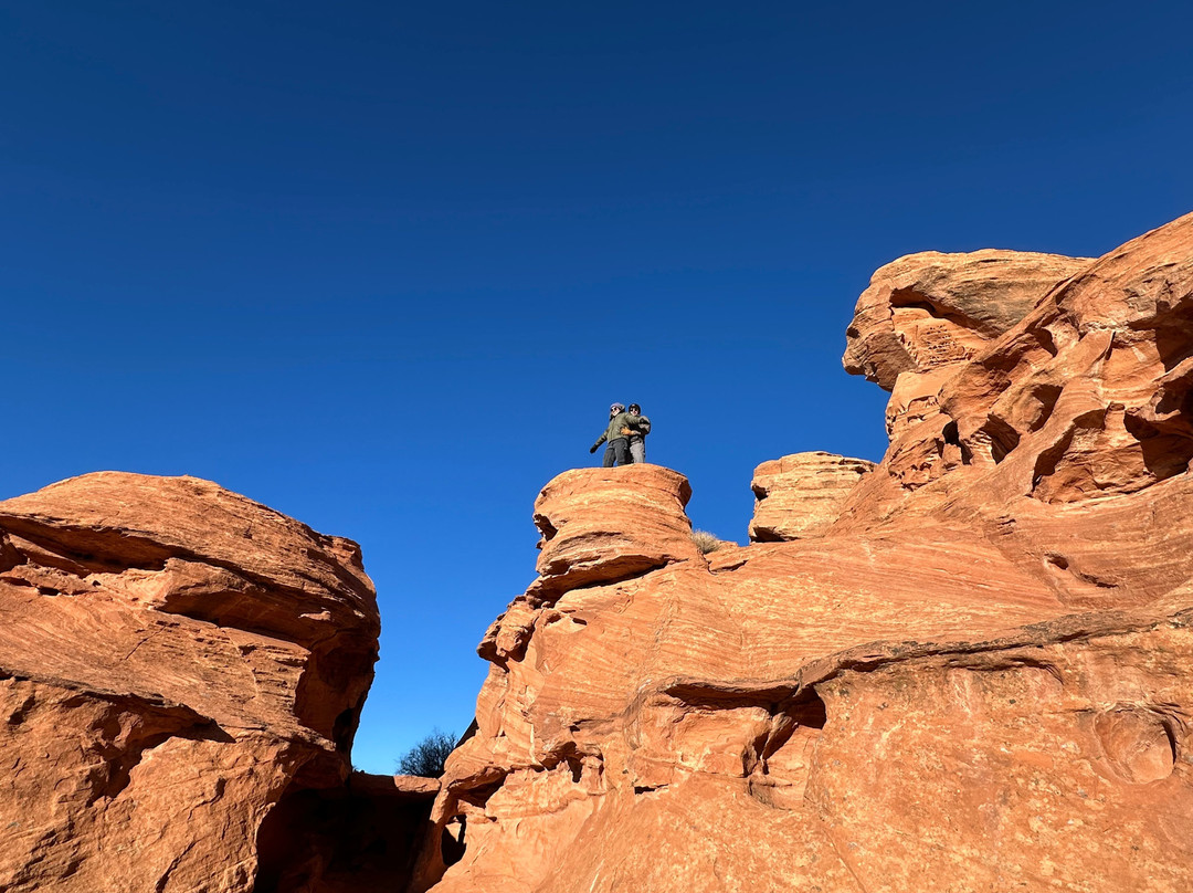 UTV Adventure Tours-Washington必去景点