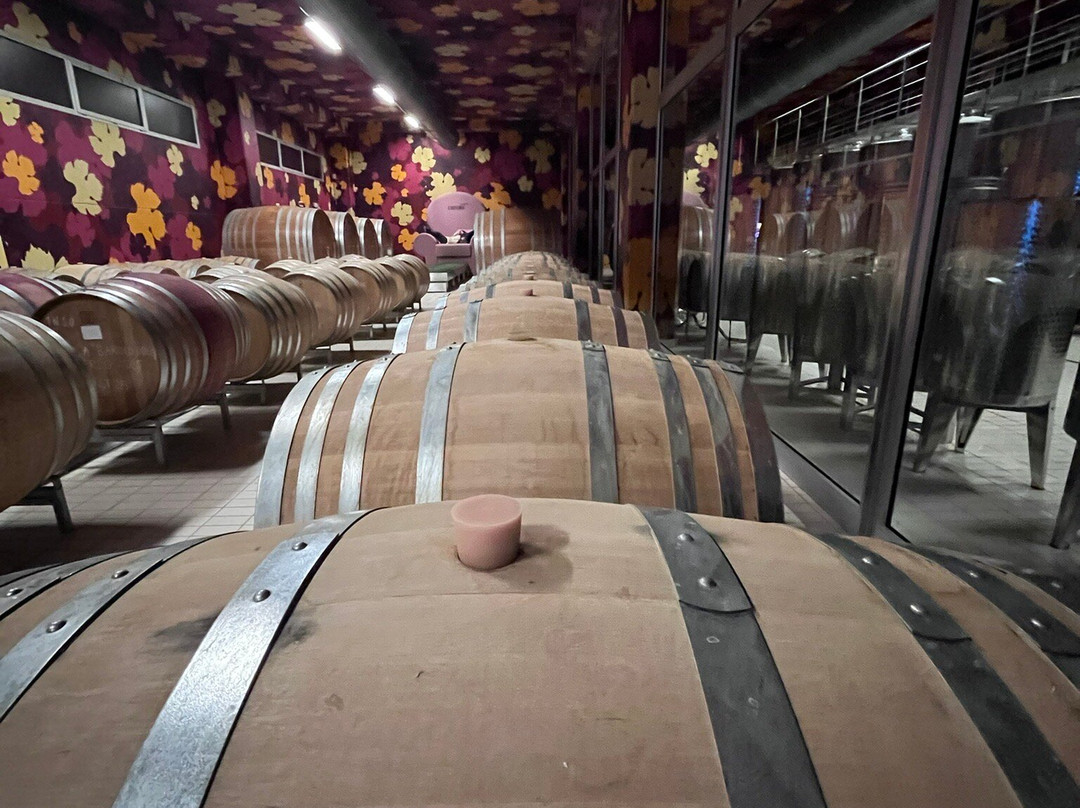 L"Astemia-巴罗洛必去景点