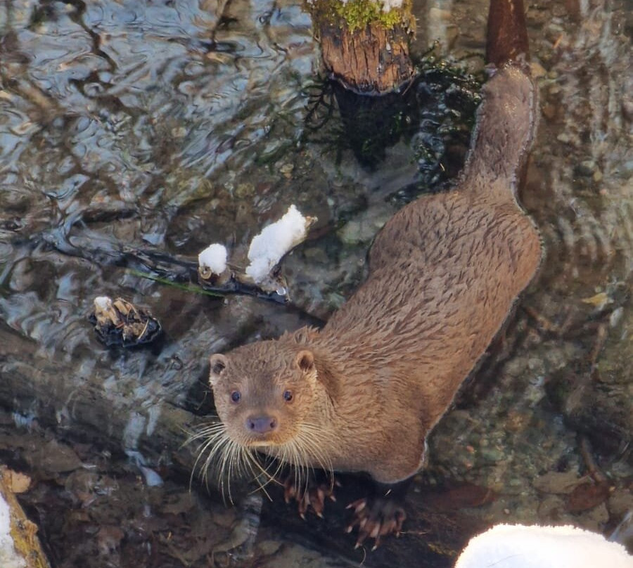 Centro Visitatori Acqua e Biodiversità-Rovenaud必去景点