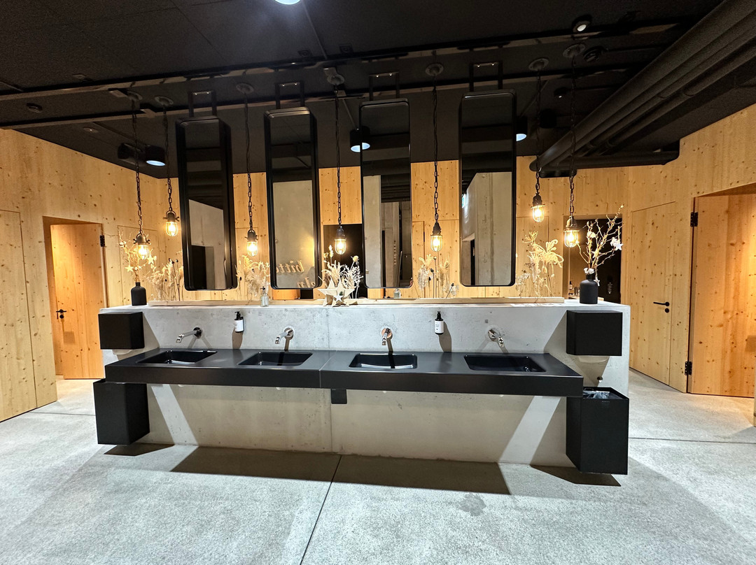 Bretterhotel - Trauffer Switzerland主图