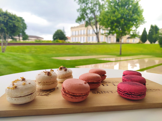 Bordeaux Tourisme Affaires-波尔多必去景点