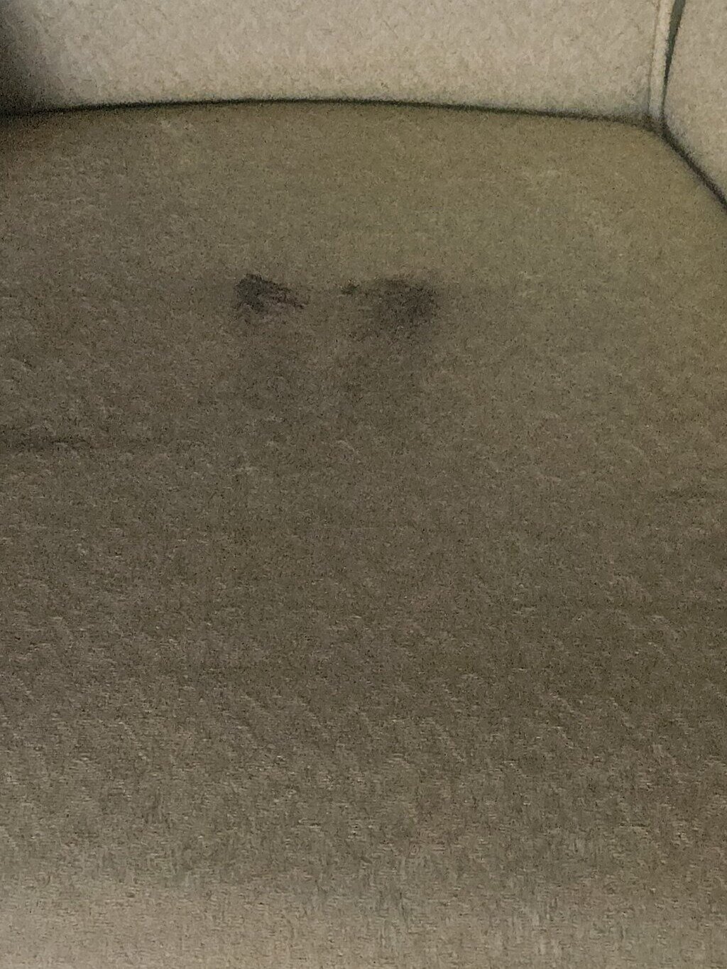 Little Sahara Inn & Cabins-客卧