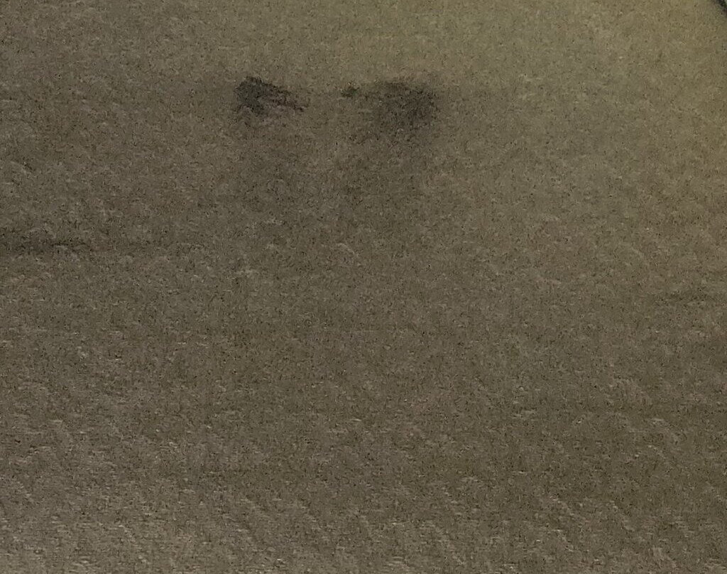 Little Sahara Inn & Cabins主图