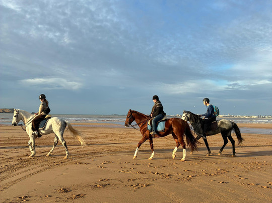 Mogador Horse-Diabat必去景点