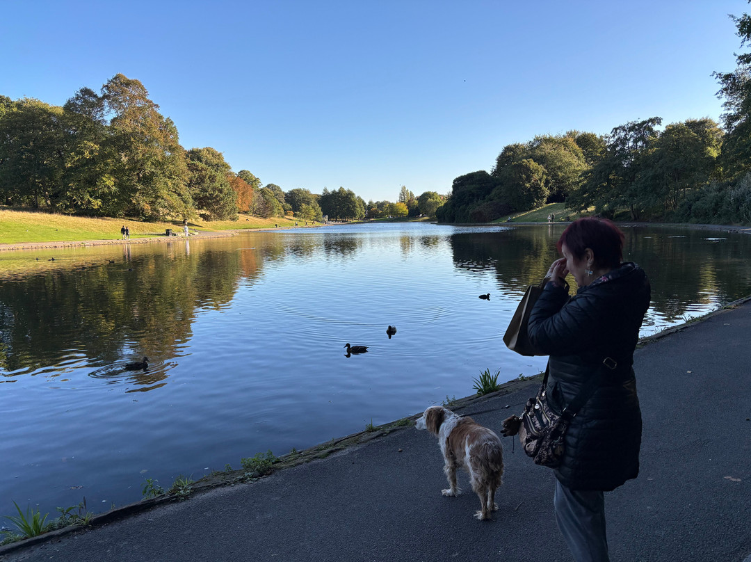 塞夫顿公园-利物浦必去景点