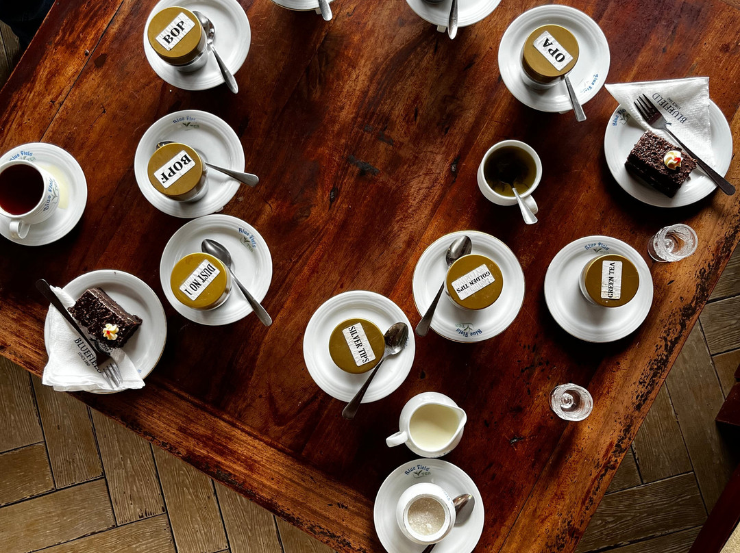 蓝田茶园-奴娃拉伊利雅必去景点