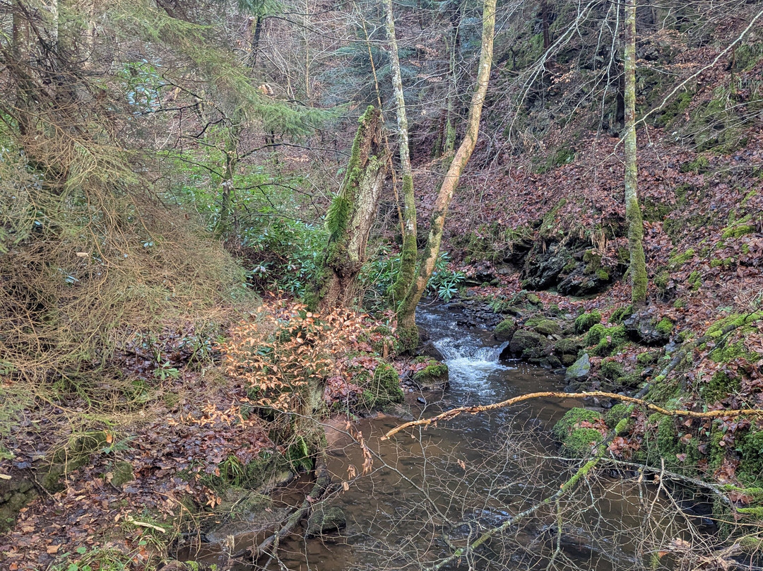 Fairy Glen Falls-Rosemarkie必去景点