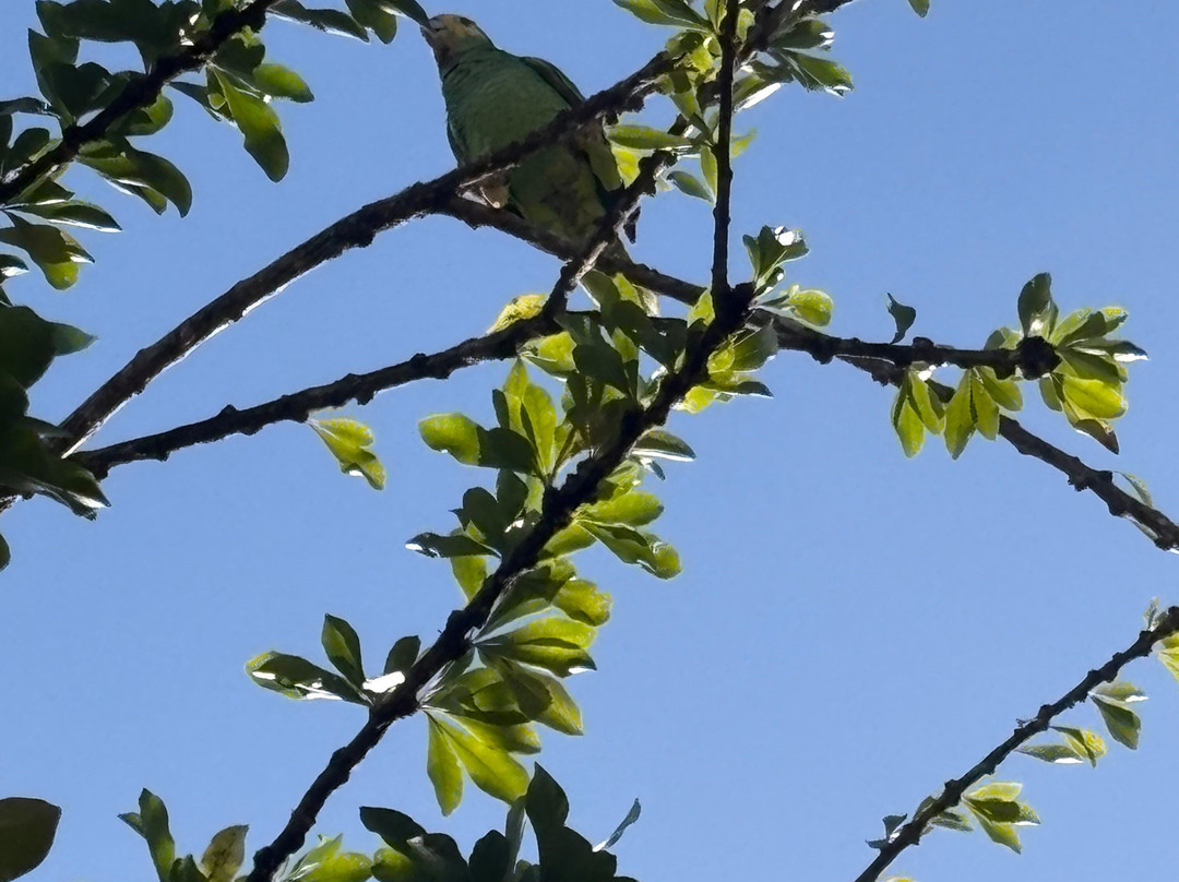 The Cadushy Distillery-Rincon必去景点