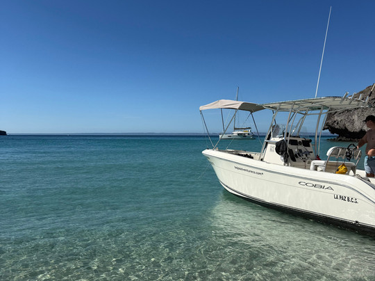 Baja Adventure Co.-拉巴斯必去景点